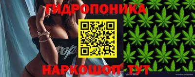 молекула духа Партизанск