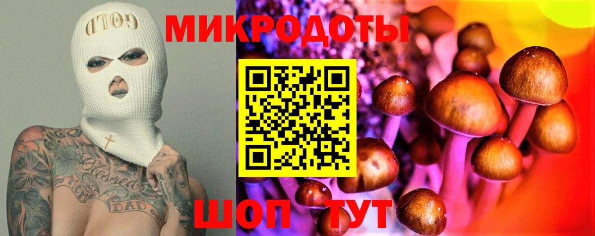 Псилоцибиновые грибы MAGIC MUSHROOMS  Вход с VPN  Ялта 